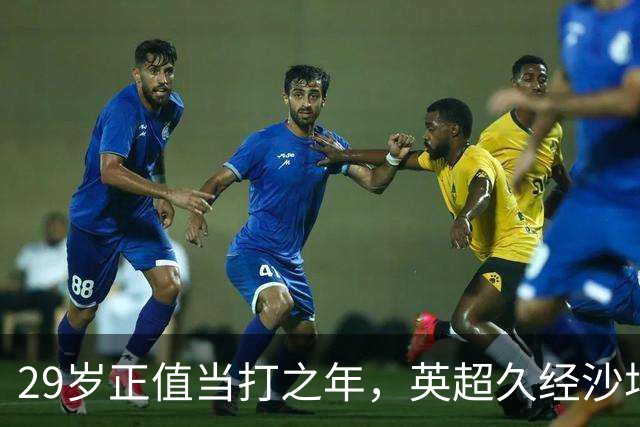 29岁正值当打之年，英超久经沙场，红魔拿下即战力中场拼图
